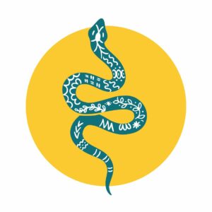 KUNDALINI EN VISIO